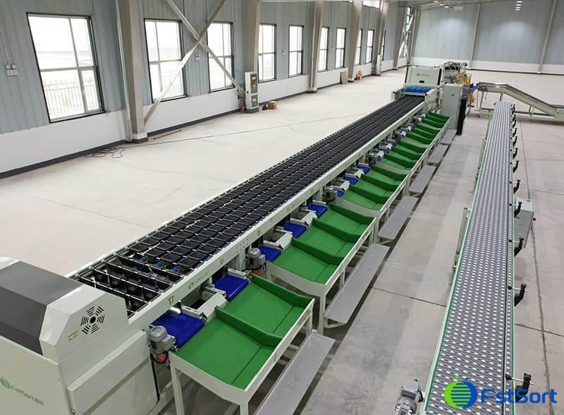 tomato optical sorter.jpg tomato optical sorter.jpg